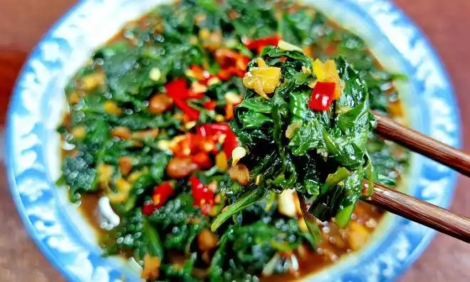 这菜全身是宝,比荠菜营养,比蒲公英鲜美,5月正当季,别不懂吃|车前草