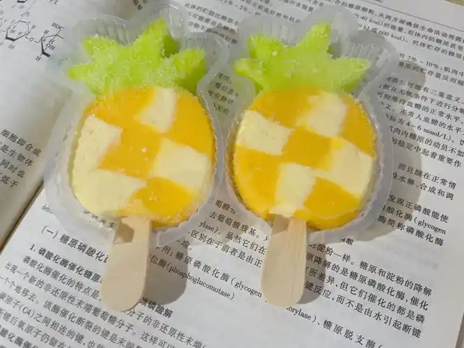 球球家人们都去吃冰工厂这个炫菠萝