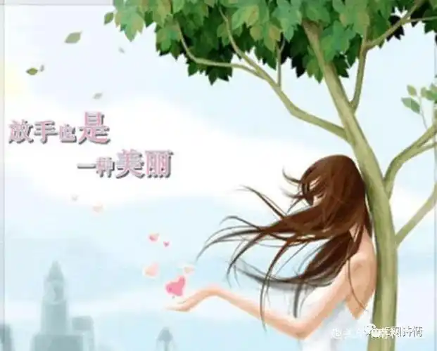 【惊鸿照影】放手,也是一种美丽