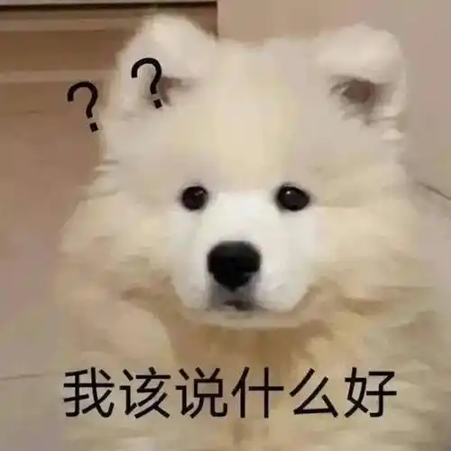 沙雕动态表情包不去不去我没钱