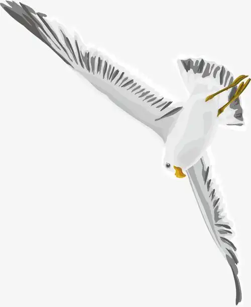 海鸥装饰设计矢量图案