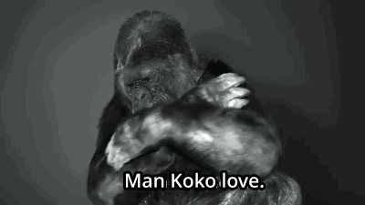 400_225gif 动态图 动图