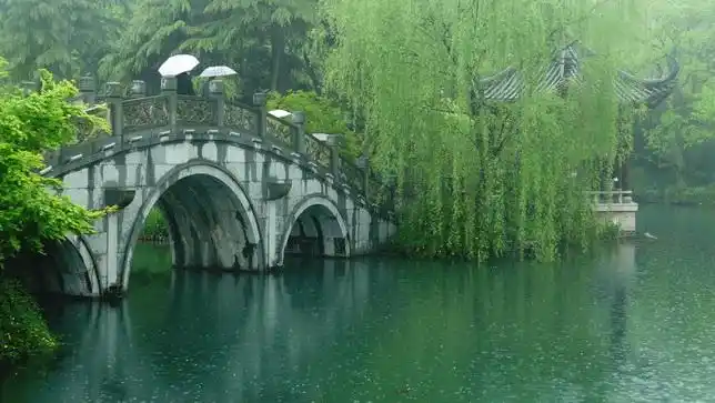 小桥流水曲叮咚.碧柳依依传燕语,诉尽情衷.