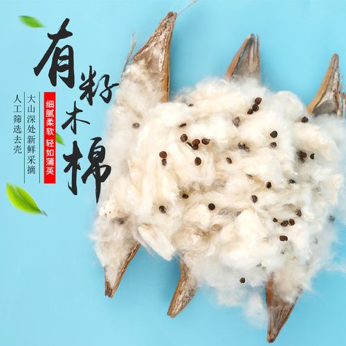 当季新鲜带籽木棉花枕头有籽木棉枕芯攀枝花棉絮填充物送枕芯套