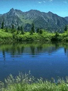 背景 壁纸 风景 天空 桌面 500_742 竖版 竖屏 手机 gif 动态图 动图