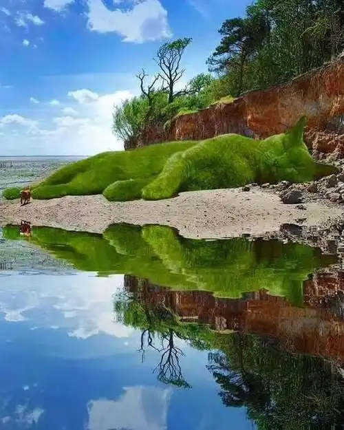 丫头,你这个样子真的很美