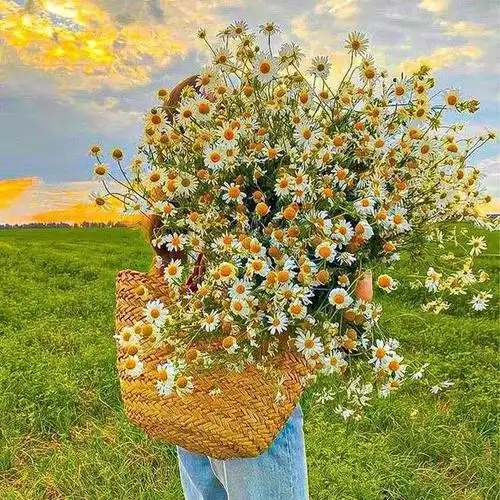 头像 | 1%电量都要换的微信头像