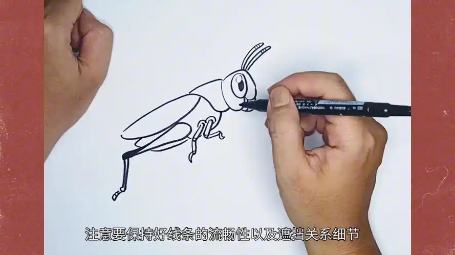 简笔画小蚂蚱绘画教程