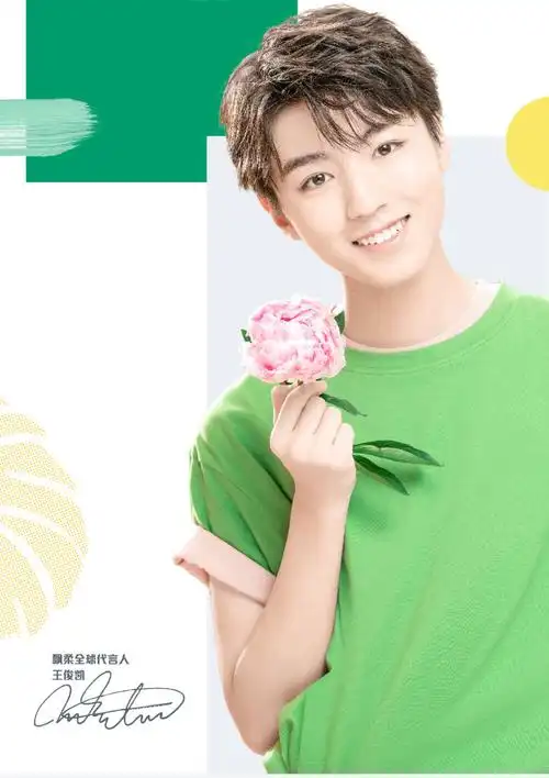 王俊凯飘柔rejoice