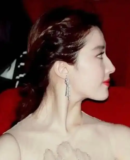 刘亦菲侧面鼻骨变突起,颜值随岁月改变,样貌变英气