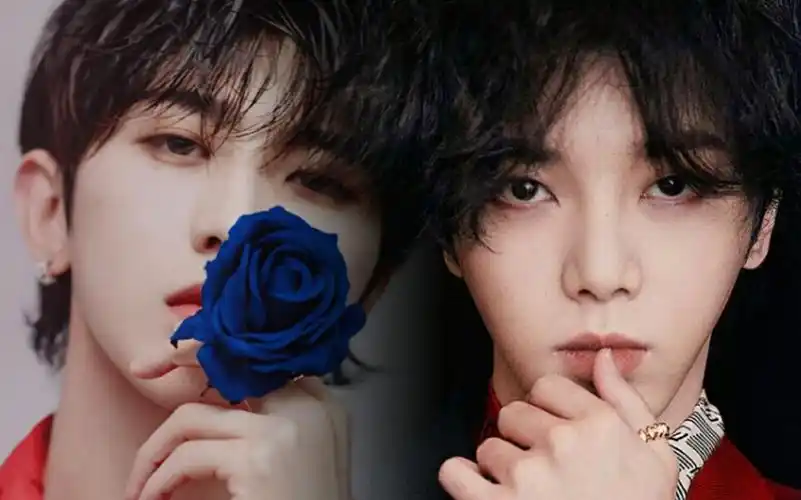 华晨宇x蔡徐坤玫瑰alpha甜橙alpha飒向cp