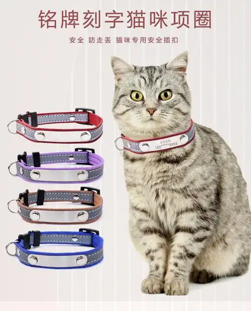 不锈钢刻字项圈防走失安全扣猫咪项圈防窒息韩国绒反光宠物项圈
