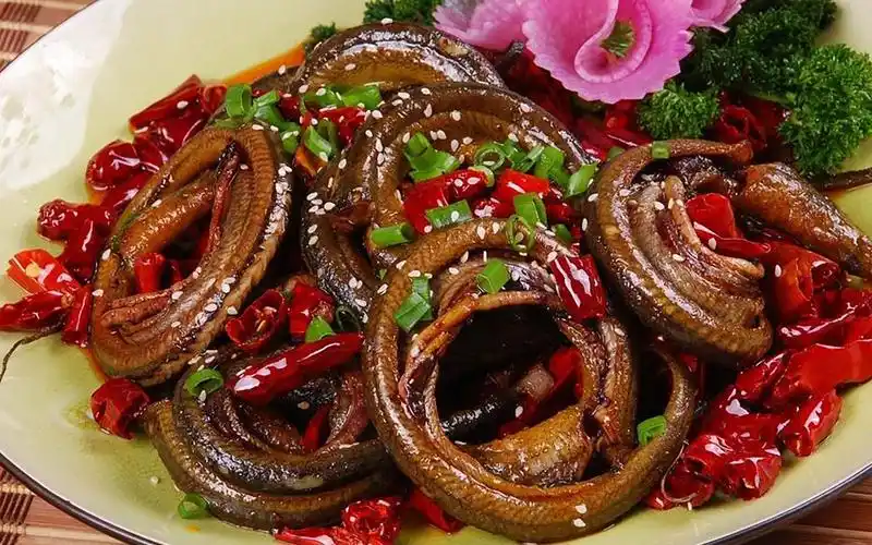 饭店招牌菜盘龙黄鳝怎么做?分享秘诀和做法,手撕着吃太香了!