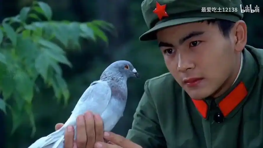 初代军艺校草旧照曝光引24亿网友围观杨洋危