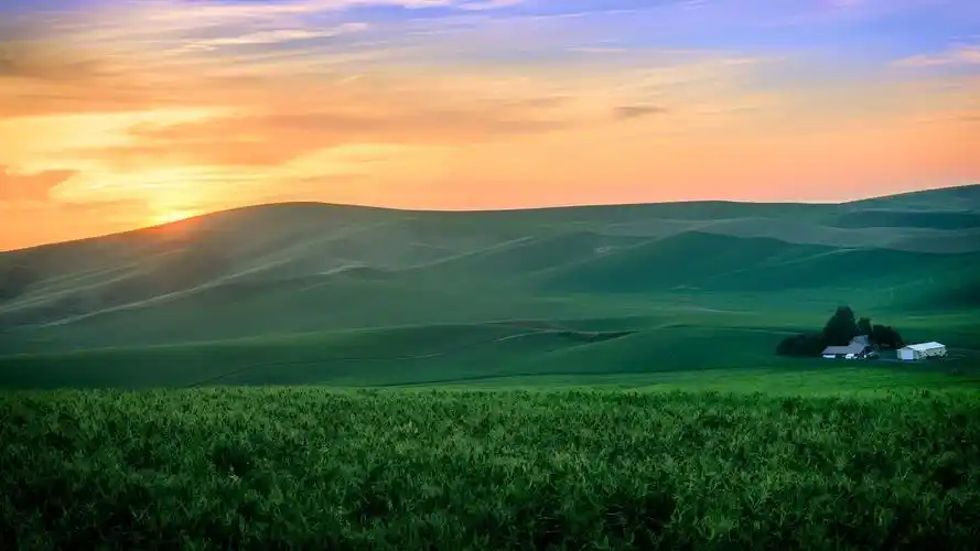 橙色的天空 绿色的山 农场 房子 草 日落 风景桌面壁纸壁纸锁屏壁纸