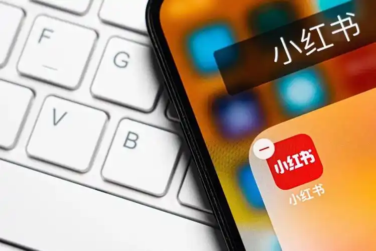 京东与小红书:在春晚寻找流量密码