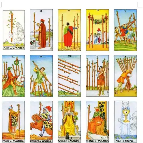 塔罗作业对于权杖宝剑圣杯星币四组牌的感受