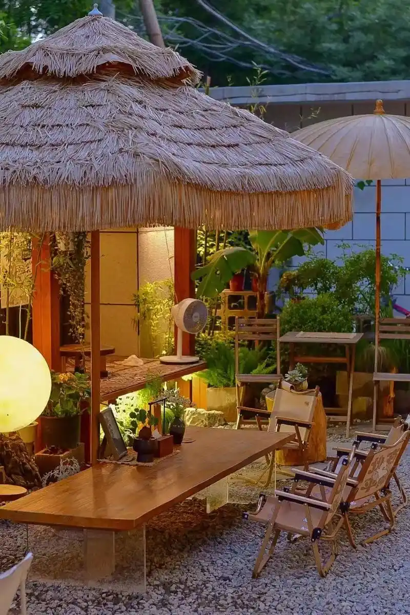 石家庄撸猫喝茶|mz的小院.茶如人生,第一道茶苦如生命,第二 - 抖音