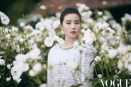 刘诗诗《vogue》