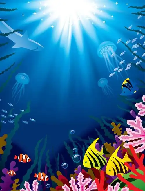 海底世界,热带海洋,珊瑚礁,五彩斑斓的鱼类和明亮的阳光照射在水面上