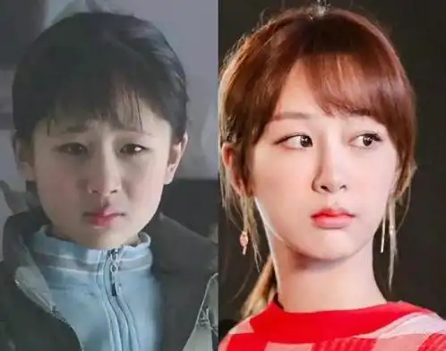 杨紫学生证曝光,被赞"从小美到大",网友:这肯定没整容!