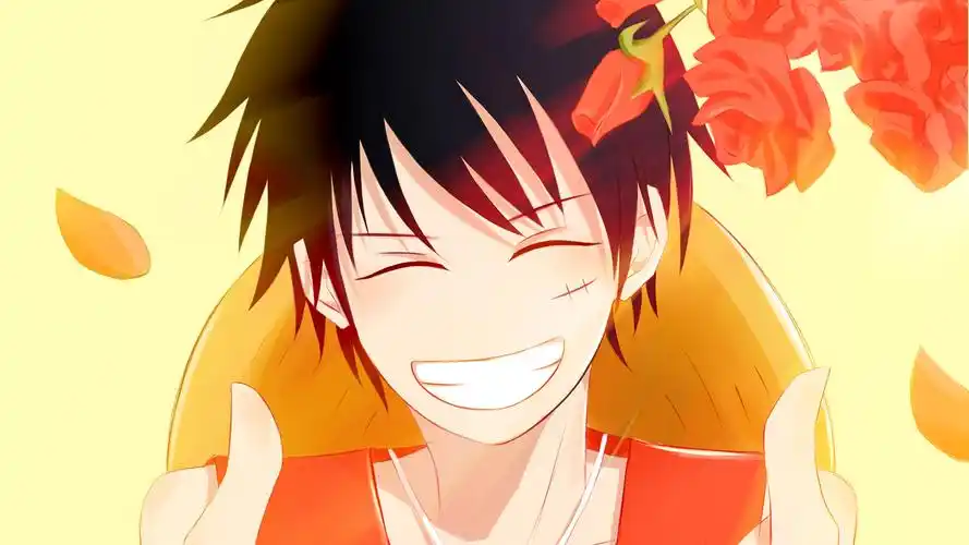 海贼王蒙奇99d99路飞电脑壁纸