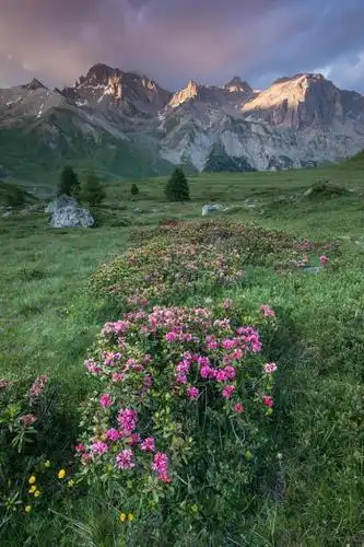 最近网上流行的一段话,沉稳大气有内涵(值得收藏)