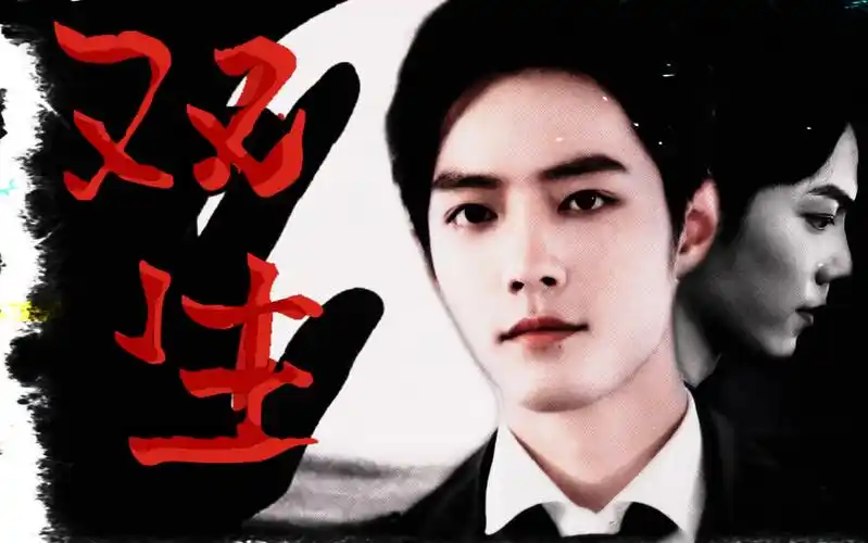【肖战x双重人格x暗黑系x悬疑】x【双生-娃娃】_哔哩哔哩 (゜-゜)つロ