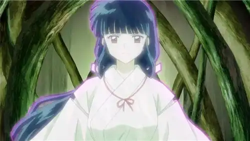 半妖的夜叉姬杀生丸新身份一统妖国掌管时空