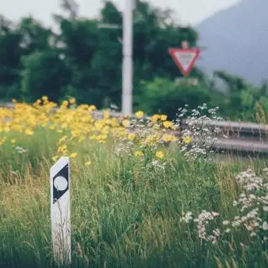 qq头像静物高清好看的小清新静物头像图片