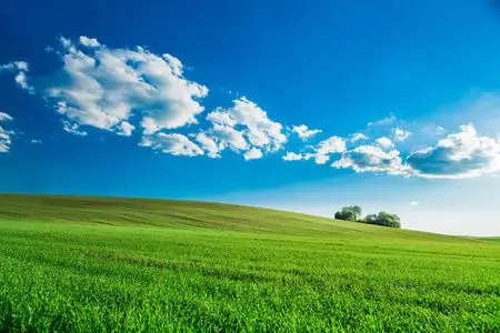 绿色的天堂美丽早晨绿色领域与蓝色天堂照片