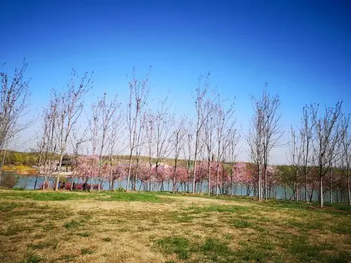 【宿迁景点图片】三台山国家森林公园