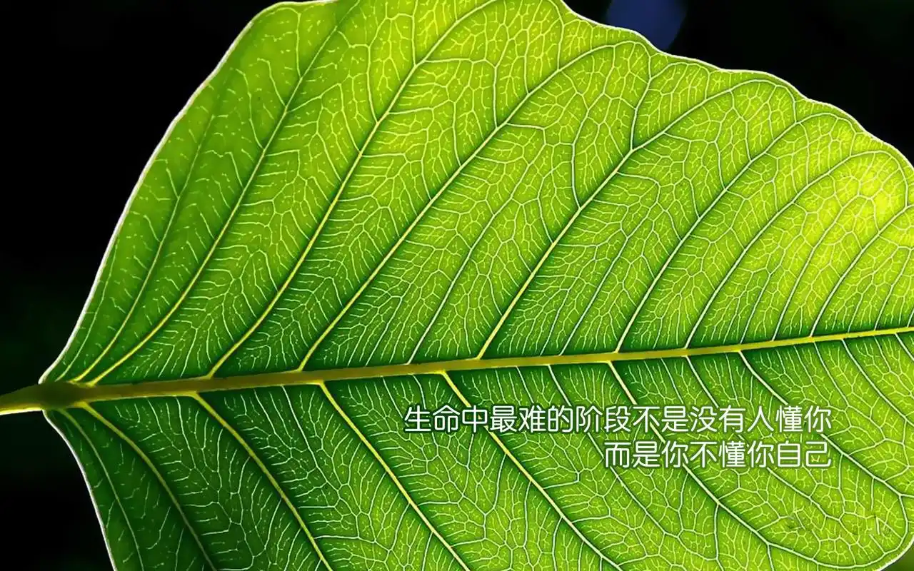 心灵文字设计高清桌面壁纸图片下载