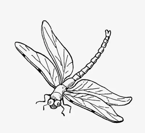 卡通手绘卡通手绘飞翔的蜻蜓