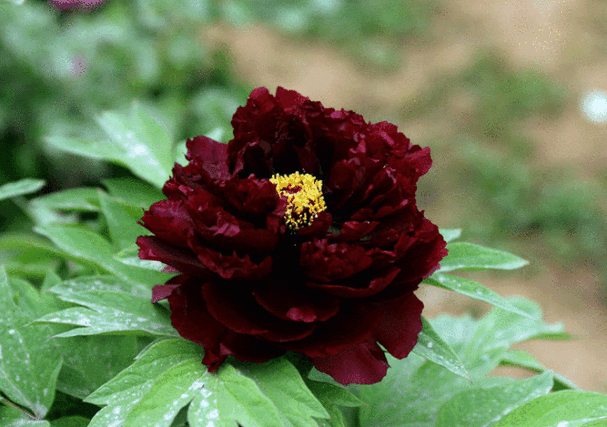 640_450gif 动态图 动图