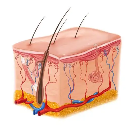 皮肤暗沉,粗糙,我们要如何改善,才能拥有白皙,细腻的肌肤!