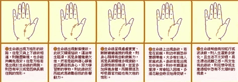 生命线分叉20种图解,你不知道的秘密,一看吓一跳!