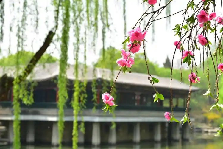 其它 2020年之五园春景 写美篇        2020年