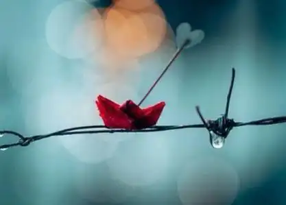 感动不是下雨的时候,你给我撑伞而是和我一起淋雨.