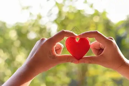 爱心为慈善理念牵手妇女握着红心在情人节或捐赠帮助给爱图片