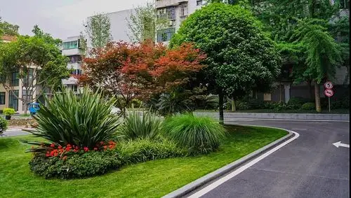 其它 城市景观微改造中花境的应用 写美篇花境和灌木组团景观的最大