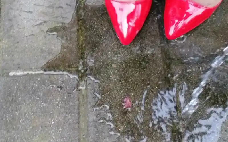 水里的红色高跟鞋