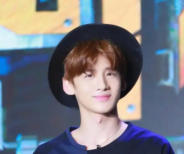 白敬亭,1993年10月15日出生于北京市怀柔区,中国内地男演员,毕业于