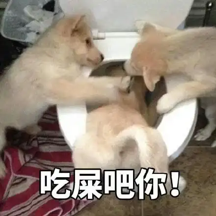 吃屎表情包