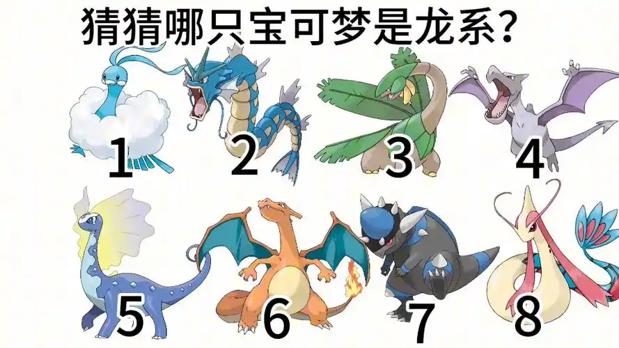 让你不玩宝可梦的朋友,来猜猜谁才是龙系