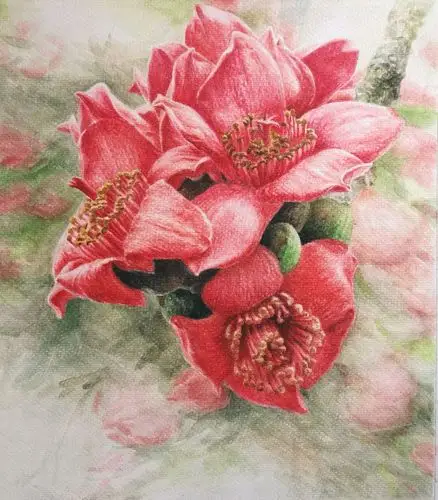 却是南中春色别,满城尽是木棉花