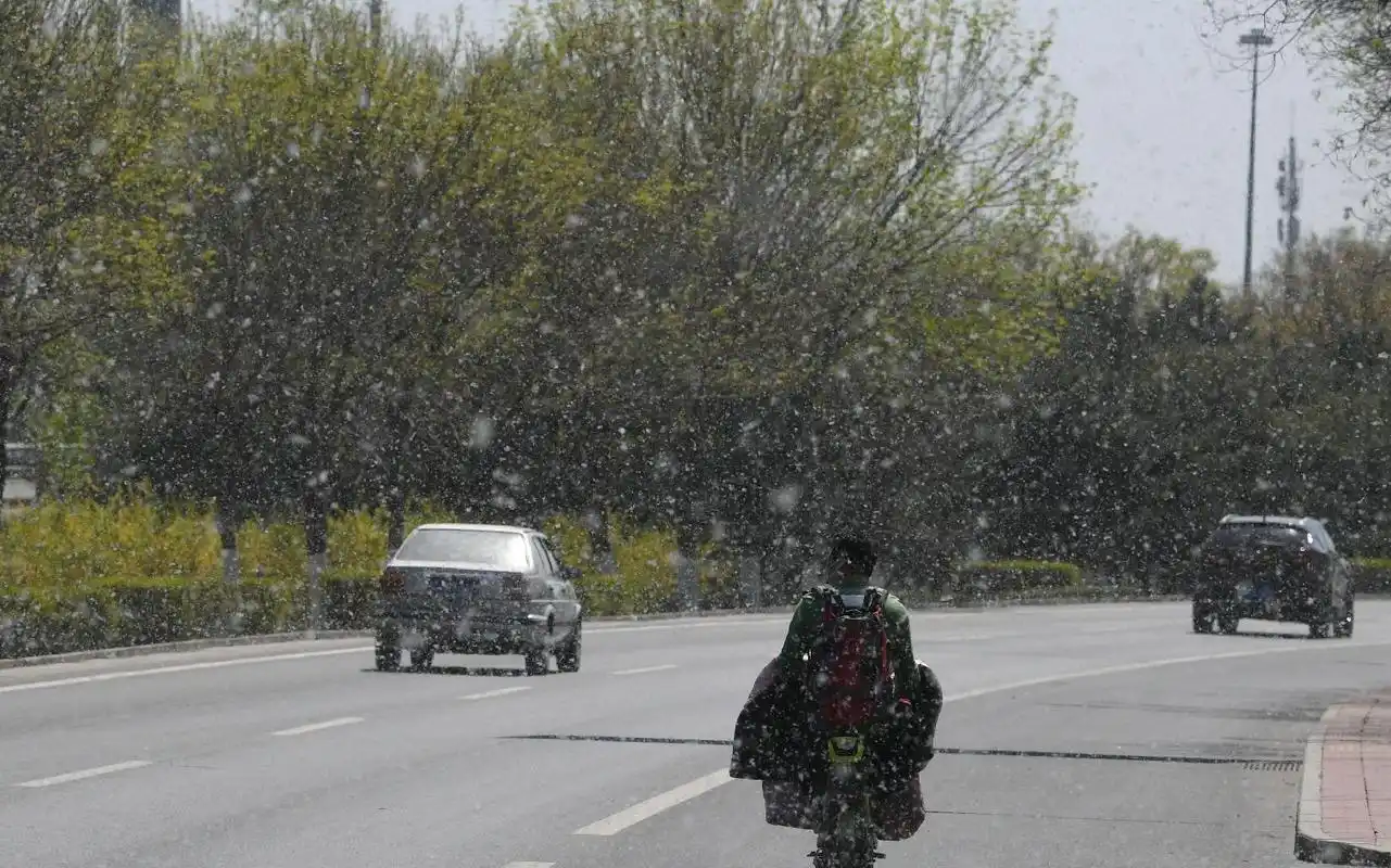 杨柳飞花 京城飘絮的前世今生_飞絮