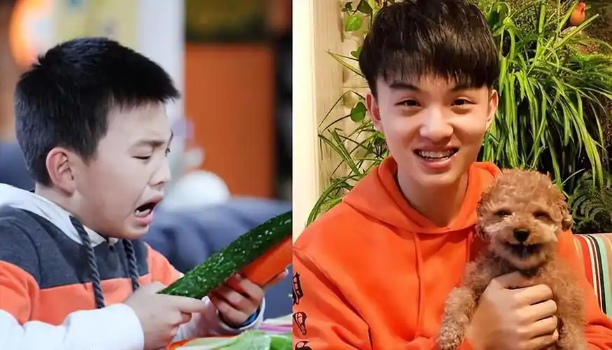 黄誉博郑伟罕见同框网友蓝多多越来越帅蔡小豆等比例放大