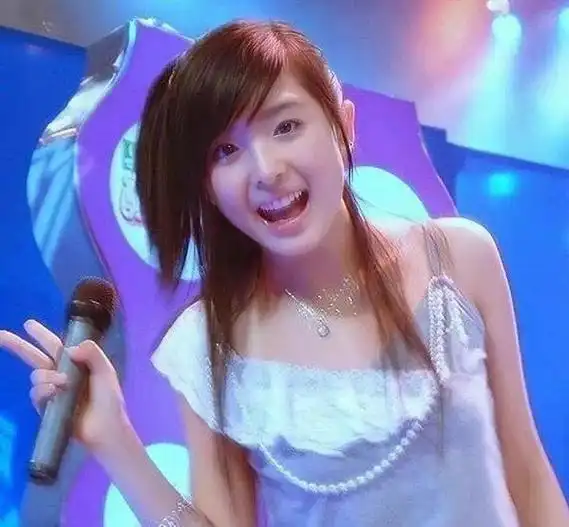 2004年,超级女声横空出世,2005年火爆全国