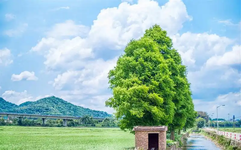 自然小清新风景桌面壁纸